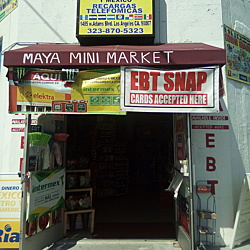 Maya Mini Market