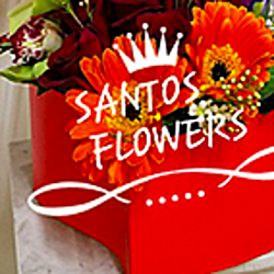 Santos Flowers