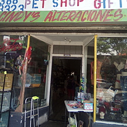 Henry's pet shop